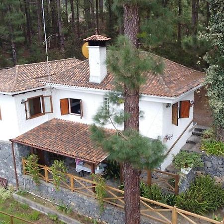 Floral Garden House Icod De Los Vinos Exterior foto