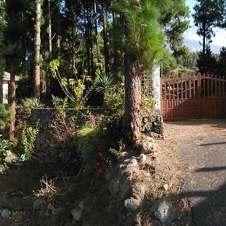 Floral Garden House Icod De Los Vinos Exterior foto