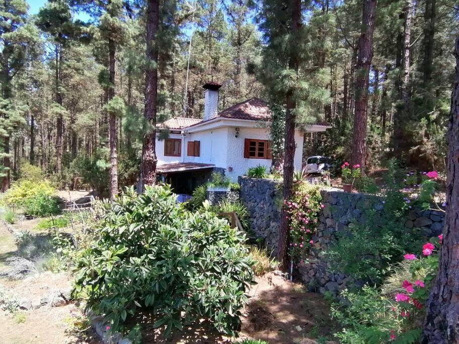 Floral Garden House Icod De Los Vinos Exterior foto