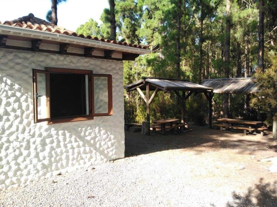 Floral Garden House Icod De Los Vinos Exterior foto