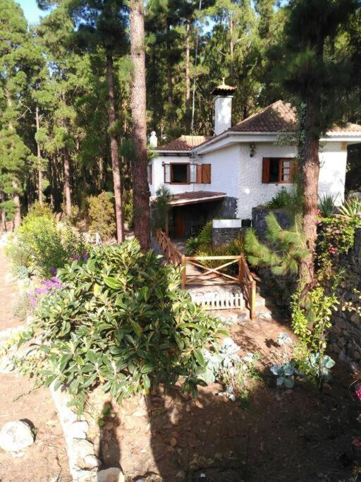 Floral Garden House Icod De Los Vinos Exterior foto