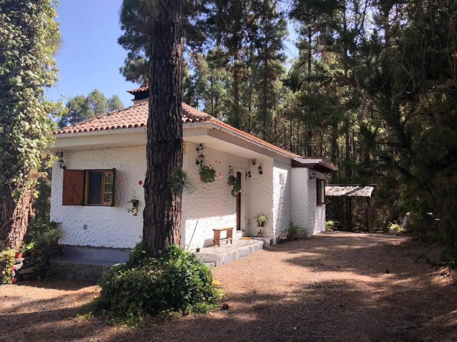 Floral Garden House Icod De Los Vinos Exterior foto