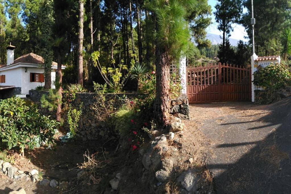 Floral Garden House Icod De Los Vinos Exterior foto