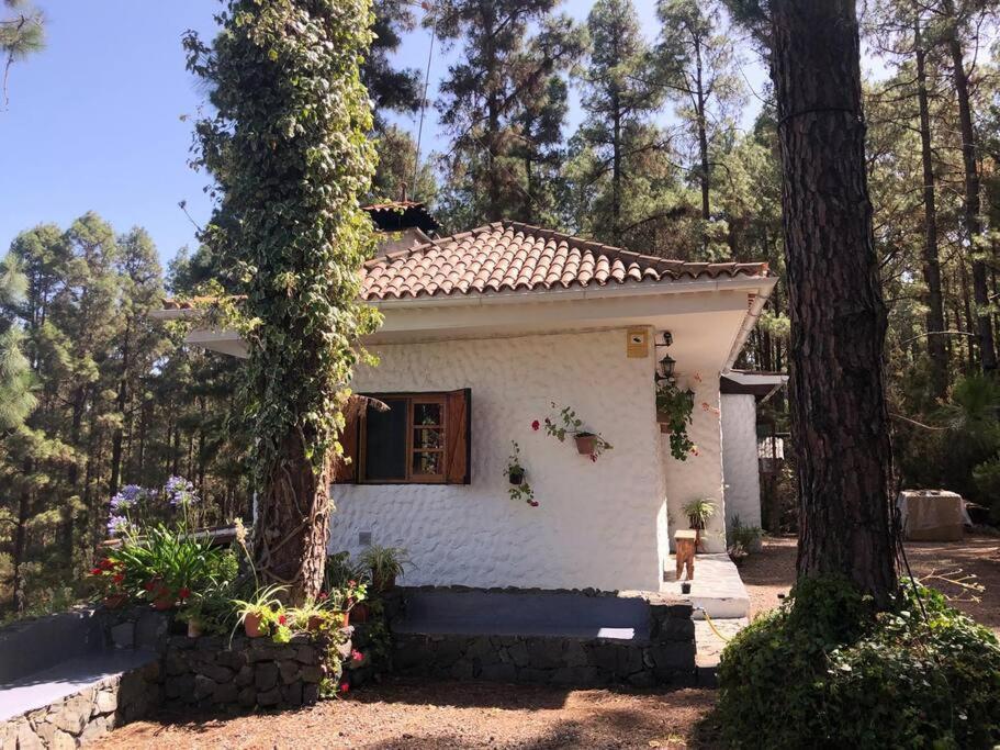 Floral Garden House Icod De Los Vinos Exterior foto
